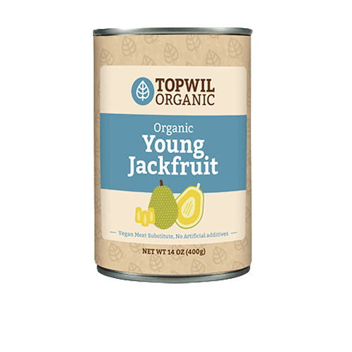 Young Jackfruit in Brine